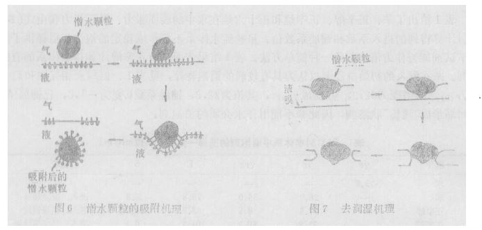 图6、7.JPG